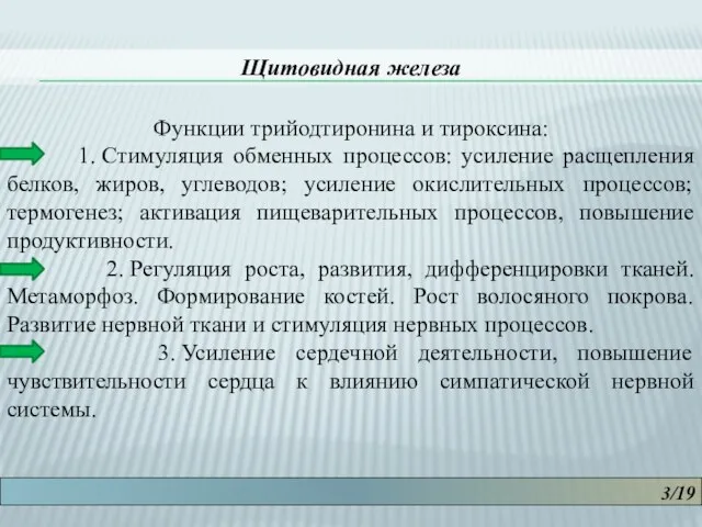 3/19 Щитовидная железа Функции трийодтиронина и тироксина: 1. Стимуляция обменных процессов: усиление