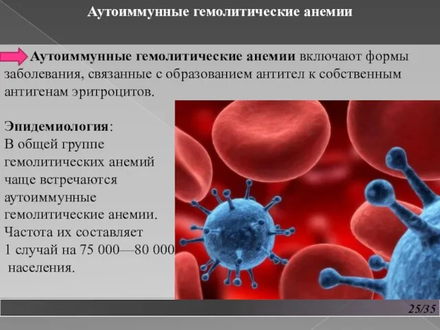 25/35 Аутоиммунные гемолитические анемии Аутоиммунные гемолитические анемии включают формы заболевания, связанные с