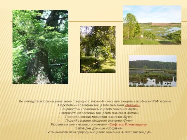 До складу території національного природного парку «Ічнянський» входять такі об'єкти ПЗФ України:
