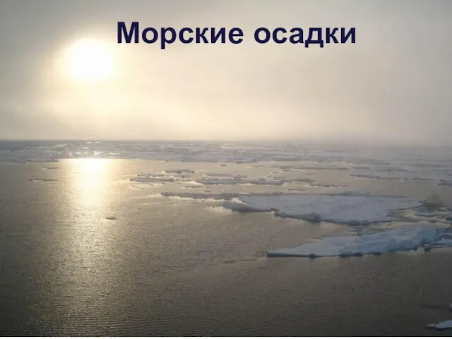 Морские осадки