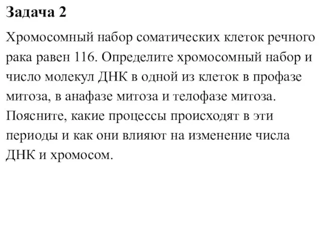 Задача 2 Хромосомный набор соматических клеток речного рака равен 116. Определите хромосомный