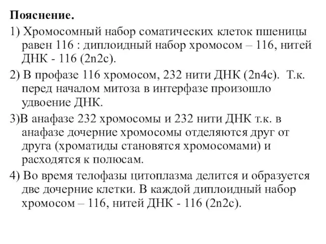 Пояснение. 1) Хромосомный набор соматических клеток пшеницы равен 116 : диплоидный набор