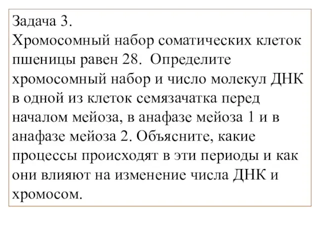 Задача 3. Хромосомный набор соматических клеток пшеницы равен 28. Определите хромосомный набор