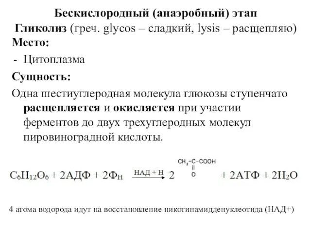 Бескислородный (анаэробный) этап Гликолиз (греч. glycos – сладкий, lysis – расщепляю) Место: