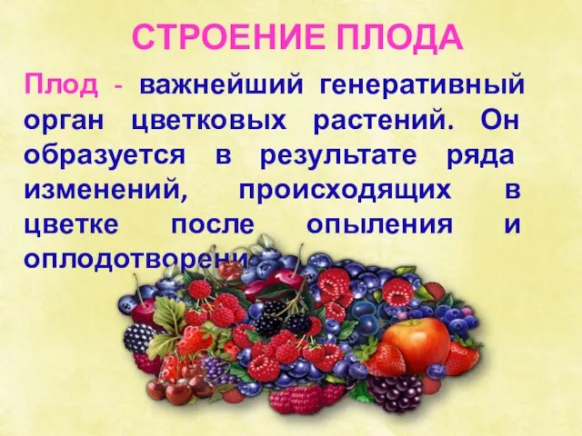 Плод - важнейший генеративный орган цветковых растений. Он образуется в результате ряда