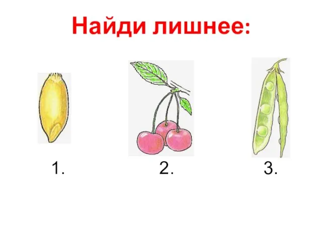 Найди лишнее: 1. 2. 3.