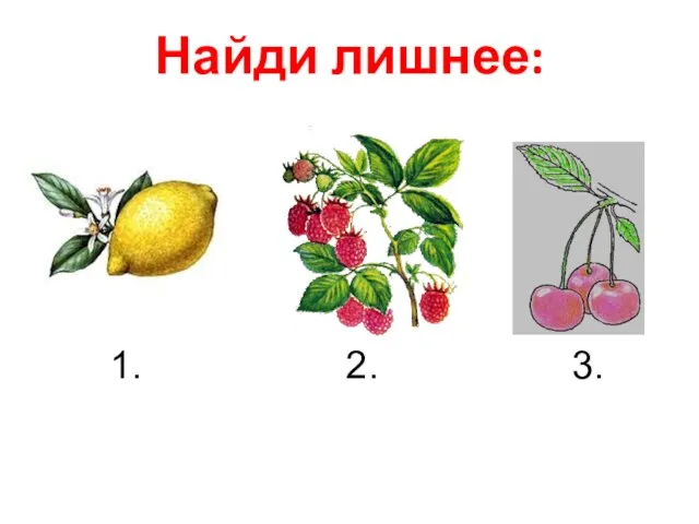 Найди лишнее: 1. 2. 3.