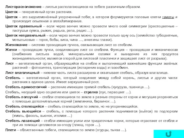 Листорасположение – листья располагающиеся на побеге различным образом. Цветок – генеративный орган