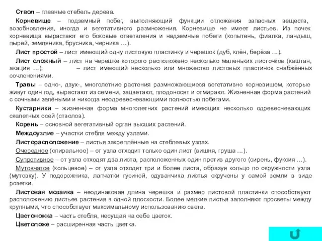 Ствол – главные стебель дерева. Корневище – подземный побег, выполняющий функции отложения