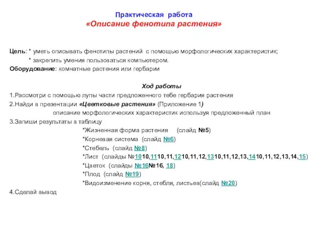 Практическая работа «Описание фенотипа растения» Цель: * уметь описывать фенотипы растений с