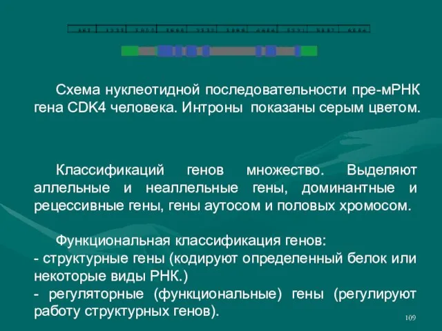 Классификаций генов множество. Выделяют аллельные и неаллельные гены, доминантные и рецессивные гены,