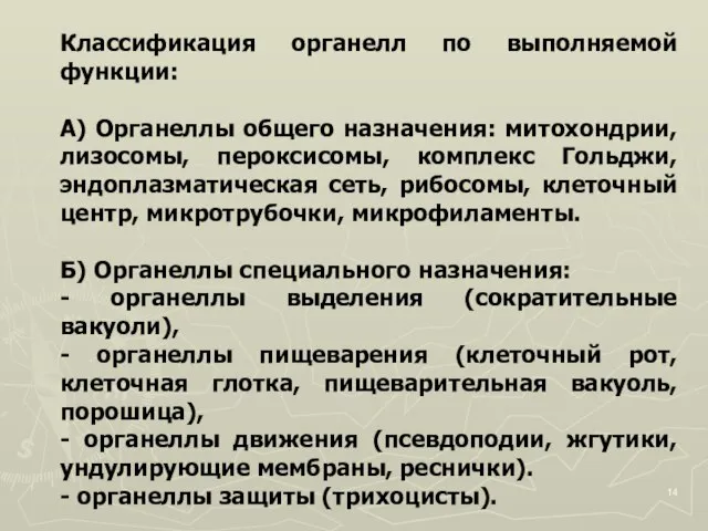 Классификация органелл по выполняемой функции: А) Органеллы общего назначения: митохондрии, лизосомы, пероксисомы,