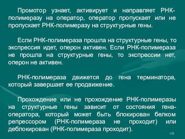 Промотор узнает, активирует и направляет РНК-полимеразу на оператор, оператор пропускает или не