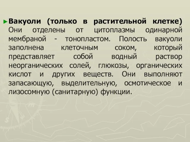 Вакуоли (только в растительной клетке) Они отделены от цитоплазмы одинарной мембраной -