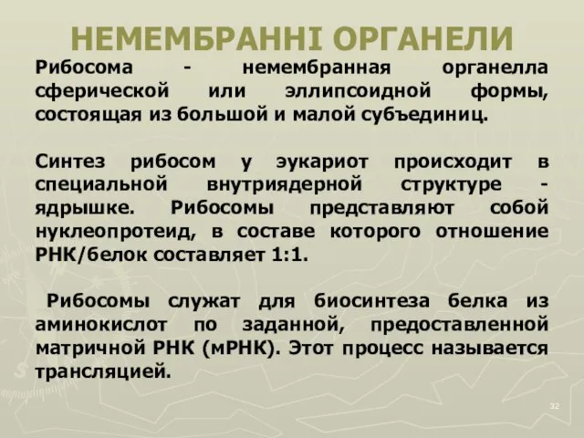 Рибосома - немембранная органелла сферической или эллипсоидной формы, состоящая из большой и