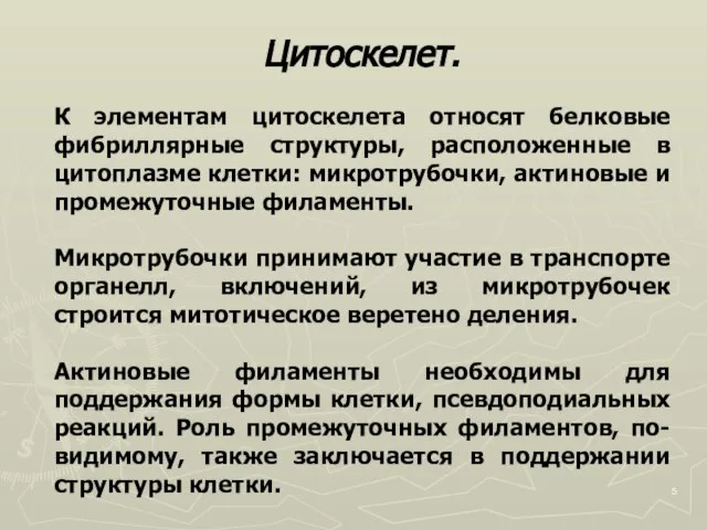 Цитоскелет. К элементам цитоскелета относят белковые фибриллярные структуры, расположенные в цитоплазме клетки: