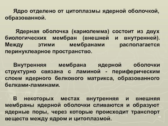 Ядро отделено от цитоплазмы ядерной оболочкой, образованной. Ядерная оболочка (кариолемма) состоит из