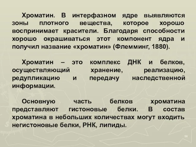 Хроматин. В интерфазном ядре выявляются зоны плотного вещества, которое хорошо воспринимает красители.