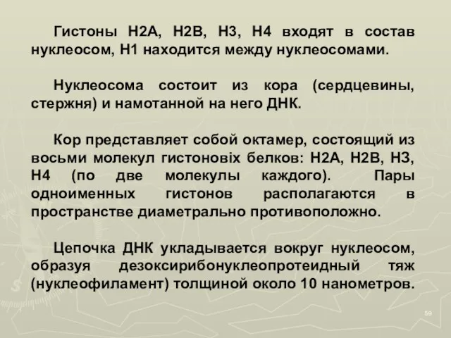 Гистоны Н2А, Н2В, Н3, Н4 входят в состав нуклеосом, Н1 находится между