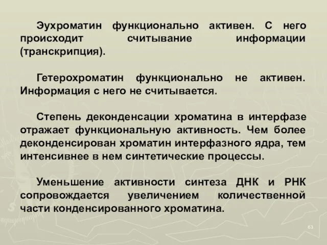 Эухроматин функционально активен. С него происходит считывание информации (транскрипция). Гетерохроматин функционально не