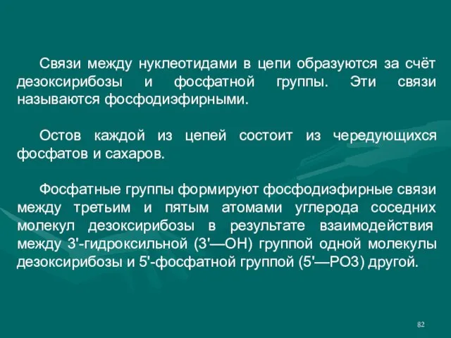 Связи между нуклеотидами в цепи образуются за счёт дезоксирибозы и фосфатной группы.