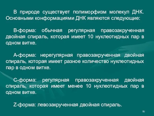 В природе существует полиморфизм молекул ДНК. Основными конформациями ДНК являются следующие: В-форма: