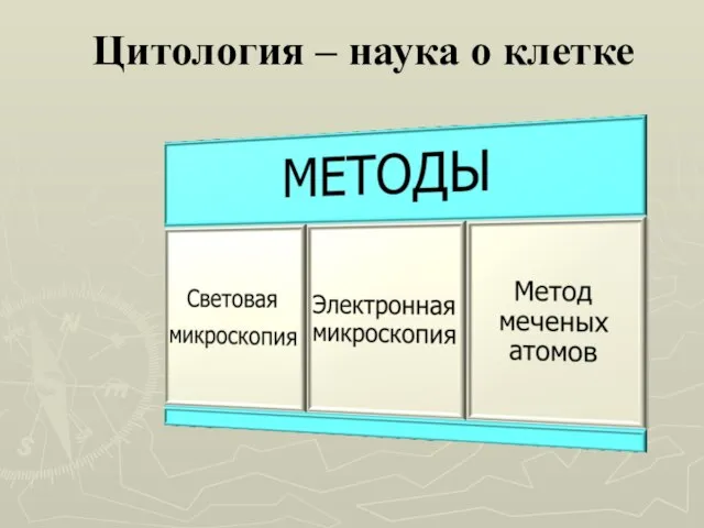 Цитология – наука о клетке