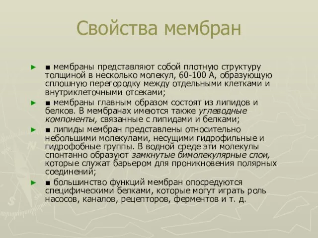 Свойства мембран ■ мембраны представляют собой плотную структуру толщиной в несколько молекул,