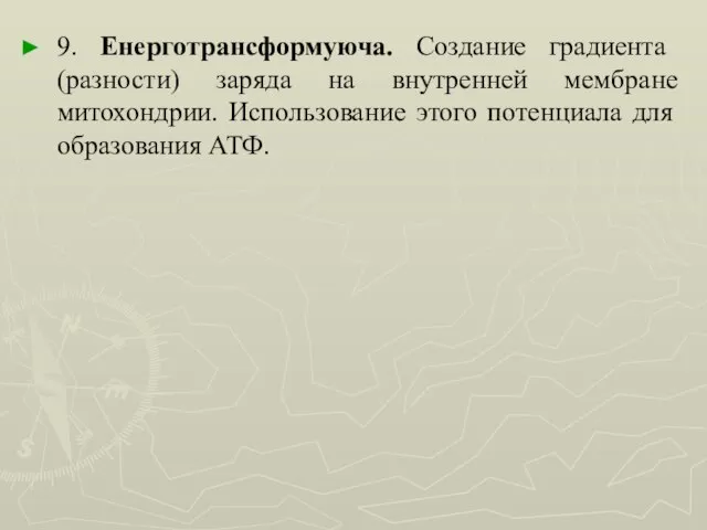 9. Енерготрансформуюча. Создание градиента (разности) заряда на внутренней мембране митохондрии. Использование этого потенциала для образования АТФ.