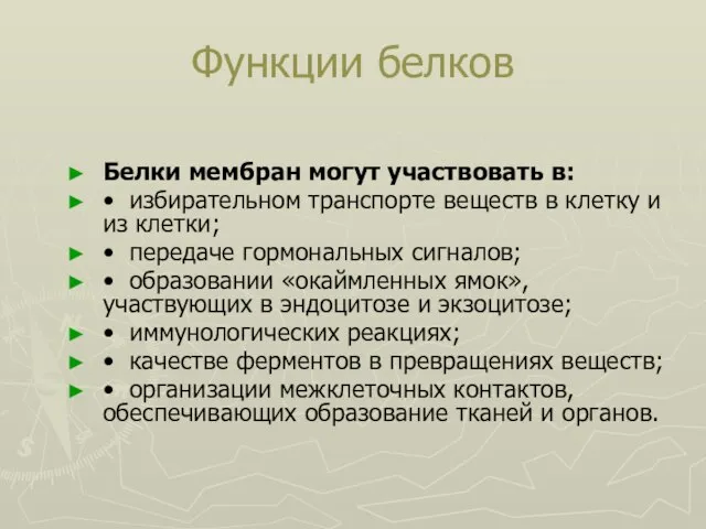 Функции белков Белки мембран могут участвовать в: • избирательном транспорте веществ в