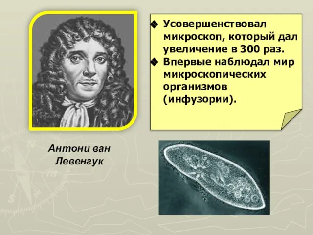 Антони ван Левенгук Усовершенствовал микроскоп, который дал увеличение в 300 раз. Впервые