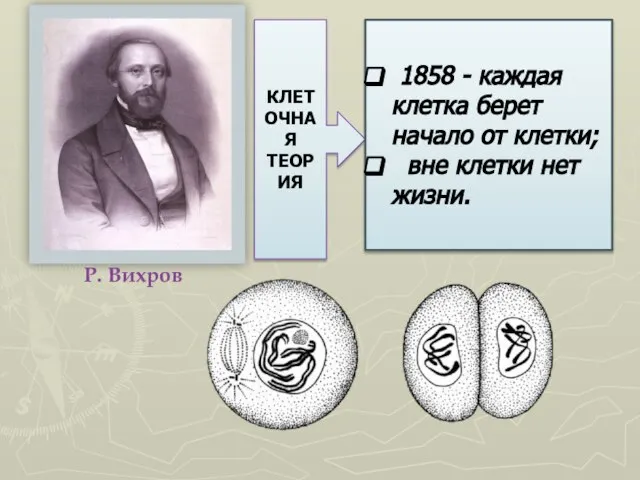 Р. Вихров КЛЕТОЧНАЯ ТЕОРИЯ 1858 - каждая клетка берет начало от клетки; вне клетки нет жизни.