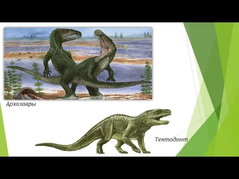 Архозавры Тектодонт