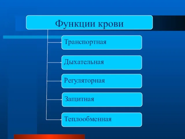 Функции крови Транспортная Дыхательная Регуляторная Защитная Теплообменная