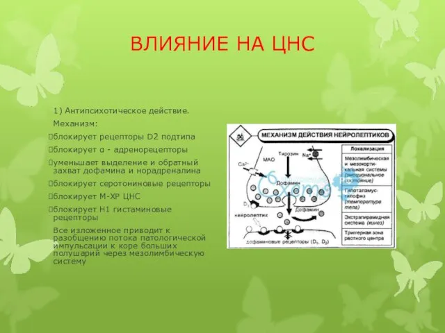 ВЛИЯНИЕ НА ЦНС 1) Антипсихотическое действие. Механизм: блокирует рецепторы D2 подтипа блокирует