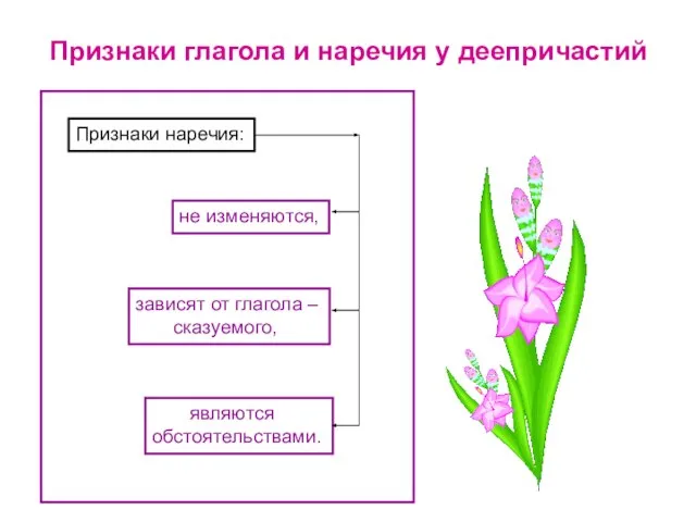 Признаки глагола и наречия у деепричастий Признаки наречия: не изменяются, зависят от