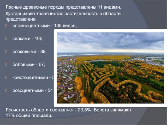 Лесные древесные породы представлены 11 видами. Кустарниково-травянистая растительность в области представлена сложноцветными