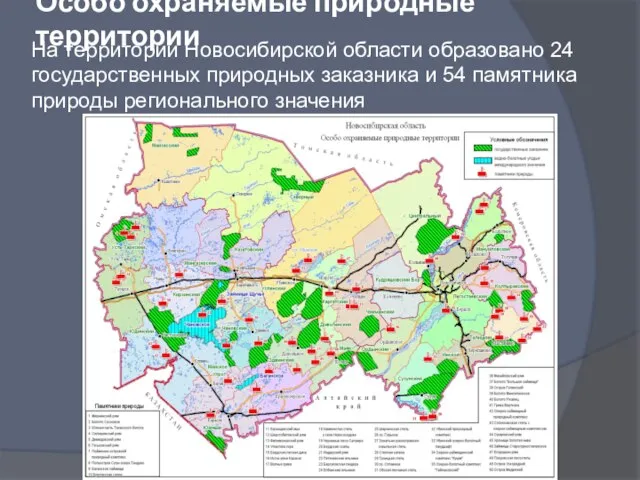 Особо охраняемые природные территории На территории Новосибирской области образовано 24 государственных природных