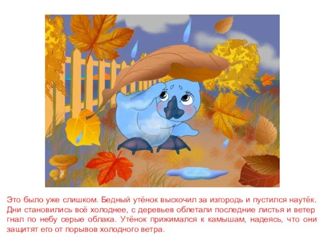 Это было уже слишком. Бедный утёнок выскочил за изгородь и пустился наутёк.