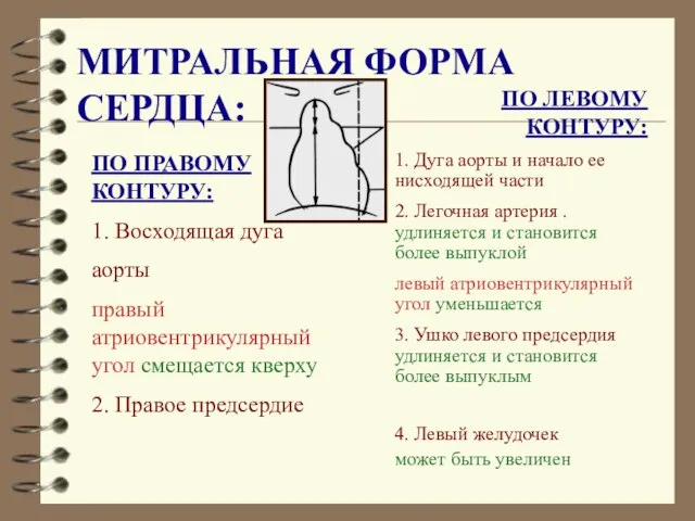 МИТРАЛЬНАЯ ФОРМА СЕРДЦА: ПО ЛЕВОМУ КОНТУРУ: 1. Дуга аорты и начало ее