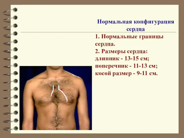 Нормальная конфигурация сердца 1. Нормальные границы сердца. 2. Размеры сердца: длинник -