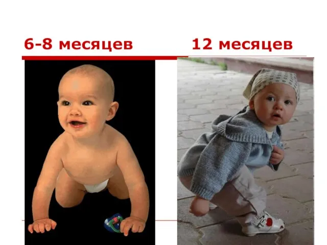 6-8 месяцев 12 месяцев