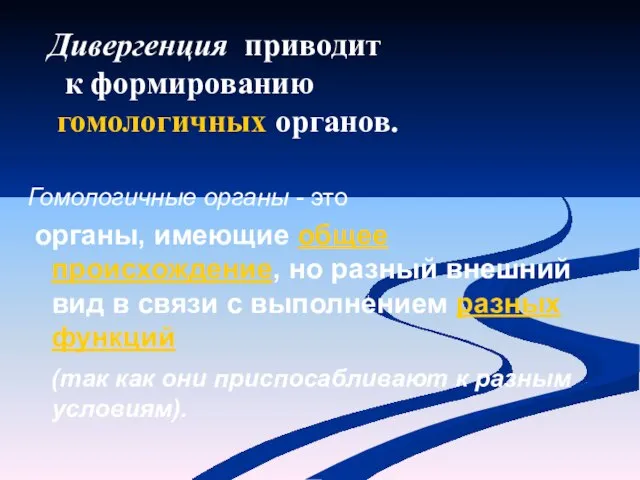 Гомологичные органы - это органы, имеющие общее происхождение, но разный внешний вид