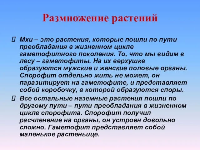 Мхи – это растения, которые пошли по пути преобладания в жизненном цикле