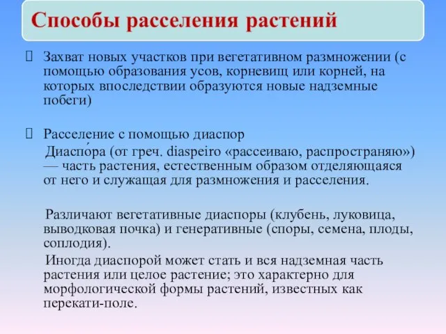 Захват новых участков при вегетативном размножении (с помощью образования усов, корневищ или