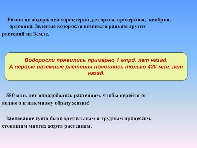 Развитие водорослей характерно для архея, протерозоя, кембрия, ордовика. Зеленые водоросли возникли раньше