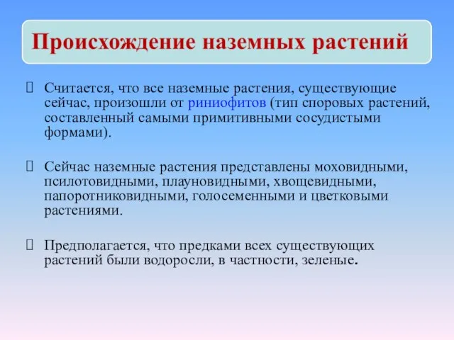 Считается, что все наземные растения, существующие сейчас, произошли от риниофитов (тип споровых