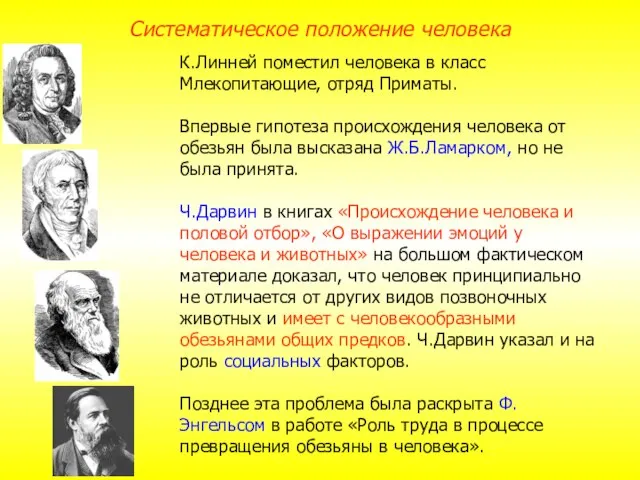 К.Линней поместил человека в класс Млекопитающие, отряд Приматы. Впервые гипотеза происхождения человека