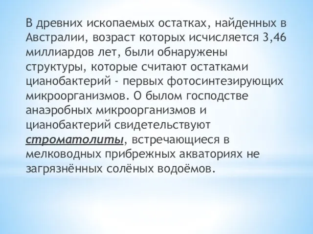 В древних ископаемых остатках, найденных в Австралии, возраст которых исчисляется 3,46 миллиардов