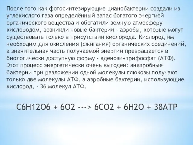 После того как фотосинтезирующие цианобактерии создали из углекислого газа определённый запас богатого